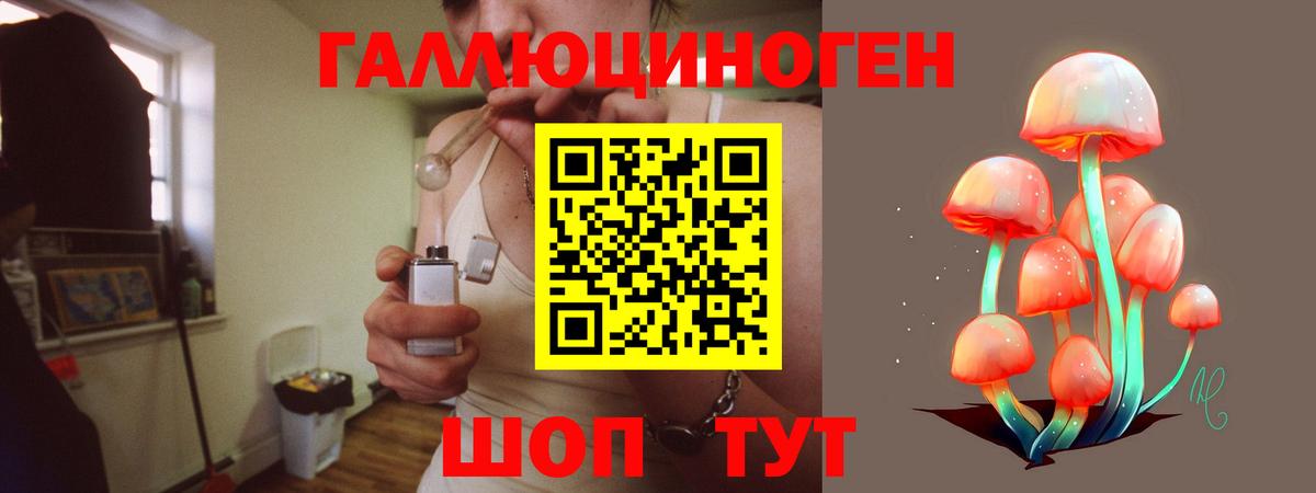 Псилоцибиновые грибы мицелий Новый Уренгой